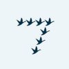 7Geese logo