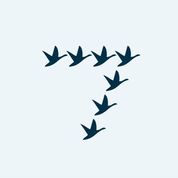 7Geese logo