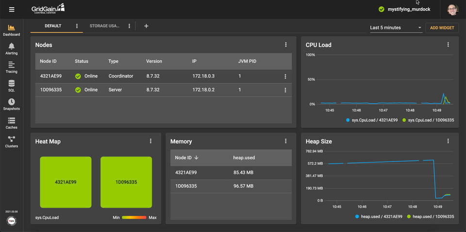 GridGain screenshot 2