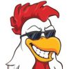HostRooster logo