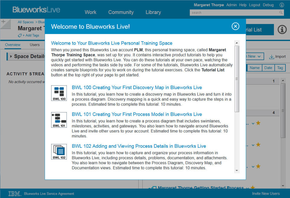 IBM Blueworks Live screenshot 3
