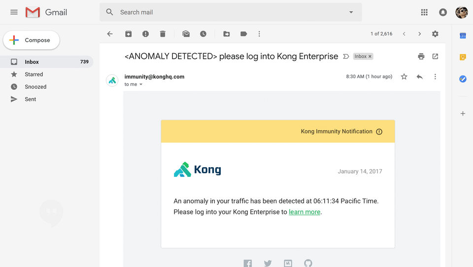 Kong screenshot 3