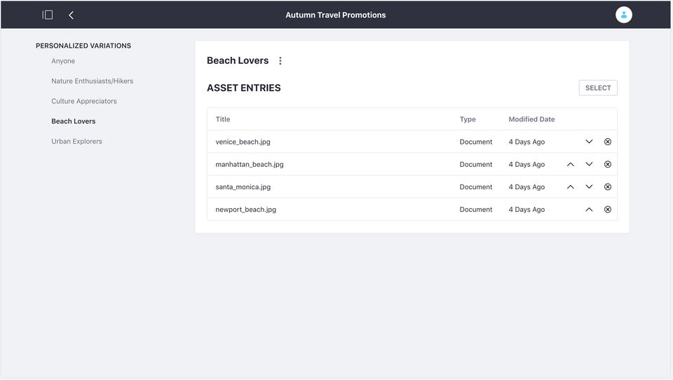 Liferay Digital Experience Platform screenshot