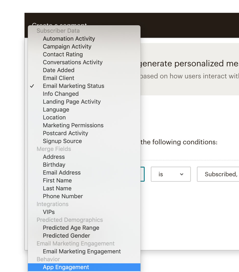 MailChimp screenshot 3