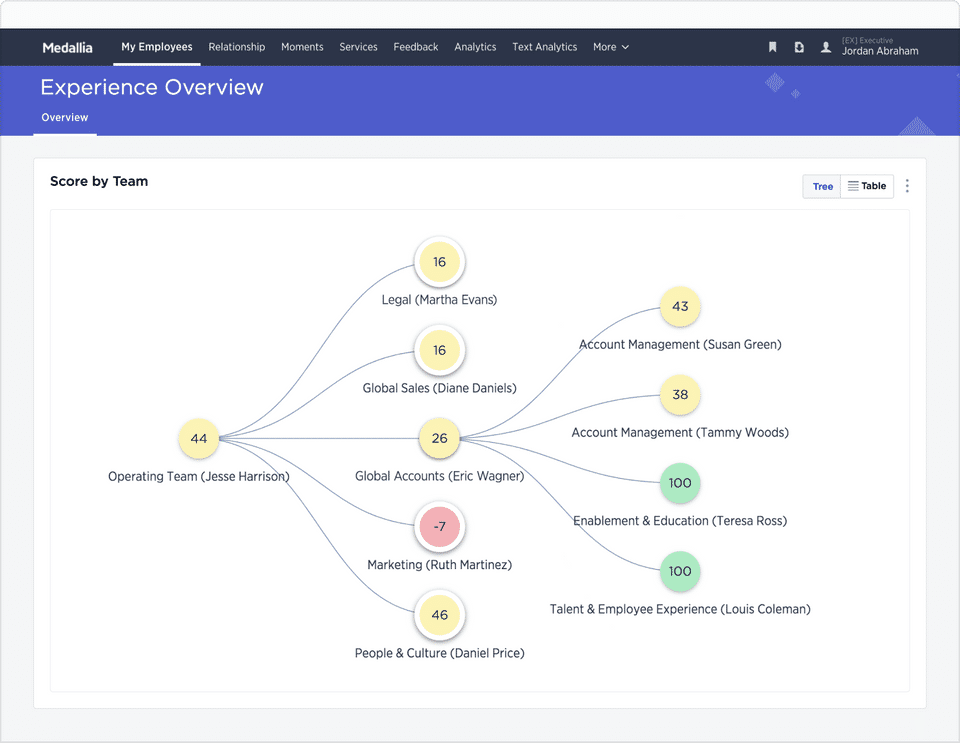 Medallia Experience Cloud screenshot 4