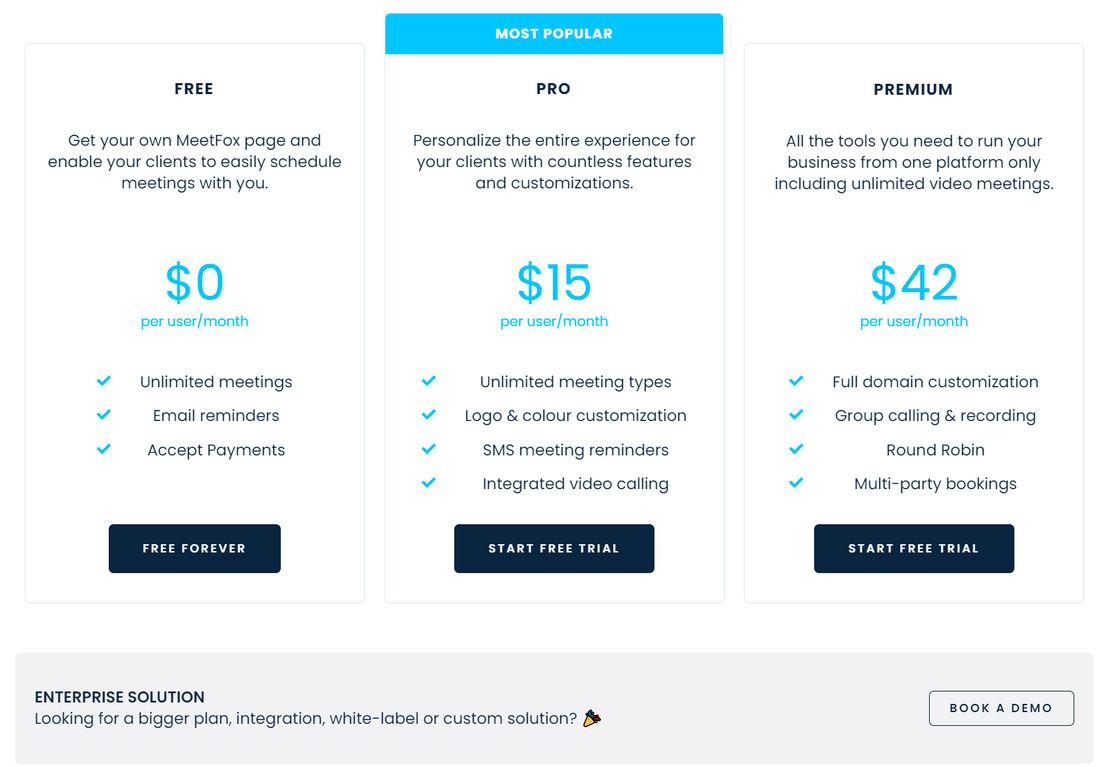 MeetFox pricing 1