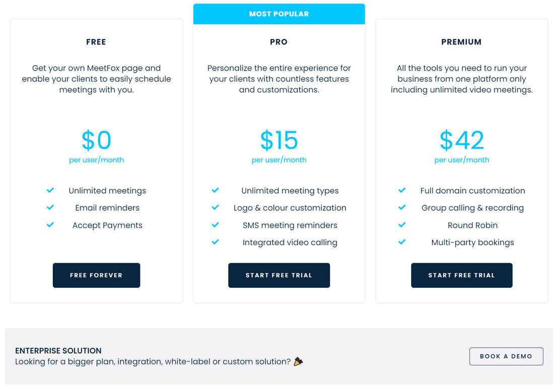 MeetFox pricing 2