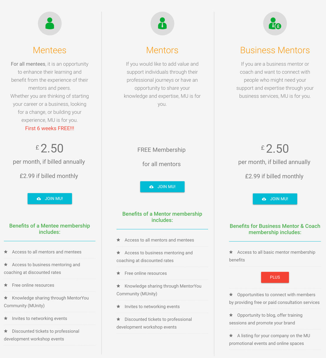 MentorYou pricing 1