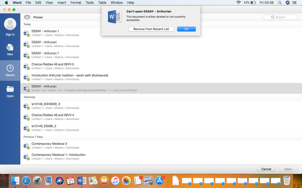 Microsoft Word screenshot 3