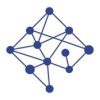 Network Perspective logo
