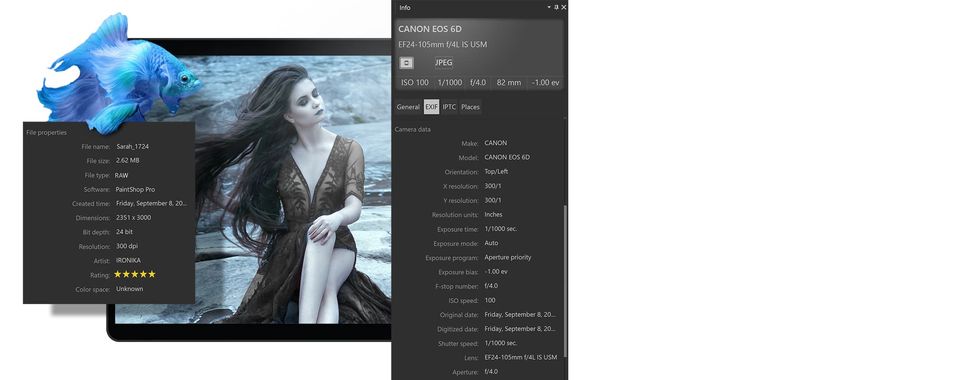 Paintshop Pro screenshot 1