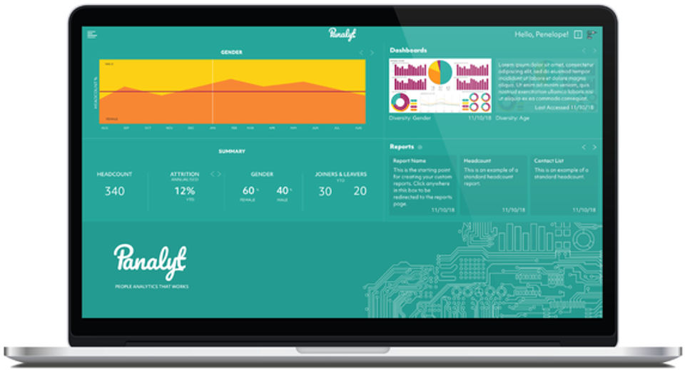 Panalyt screenshot