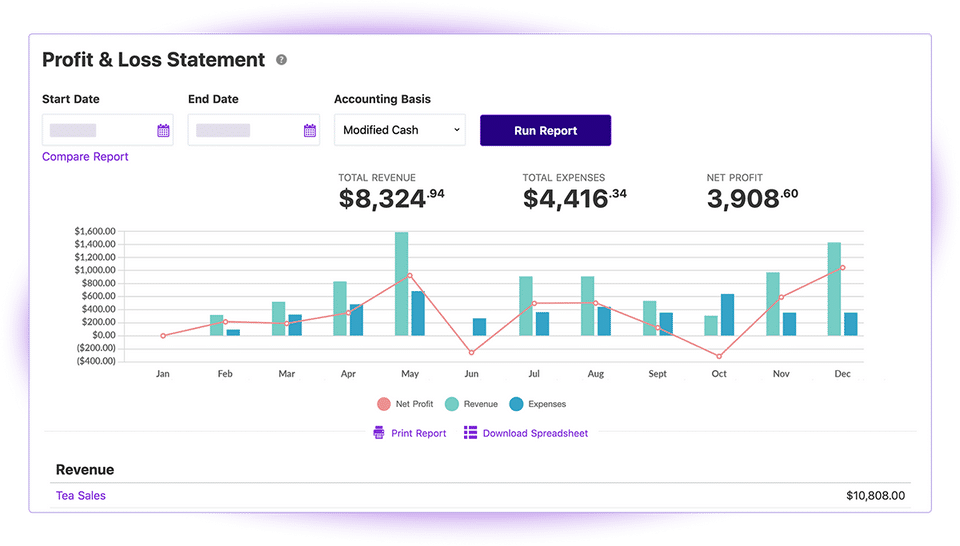 Patriot Accounting screenshot 4