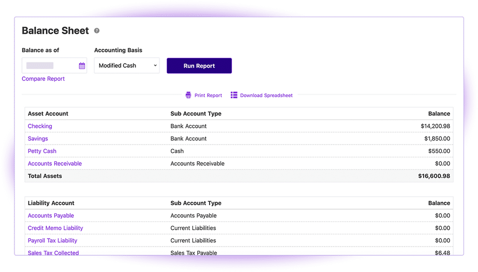 Patriot Accounting screenshot 3