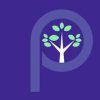 perspectives.pm logo
