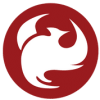 Phoenix Ortho logo