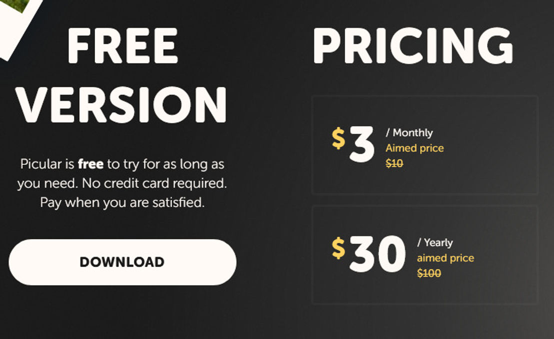 Picular pricing 1