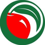 SEIS logo