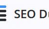 SEO Dub logo