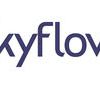 Skyflow PII Data Privacy Vault logo