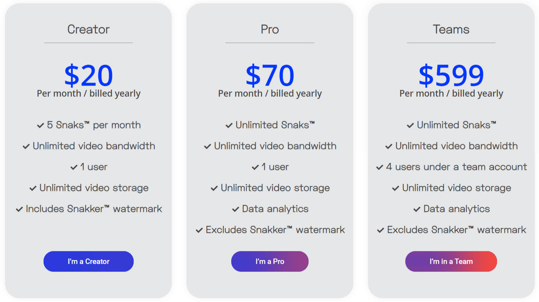 Snakker pricing 1