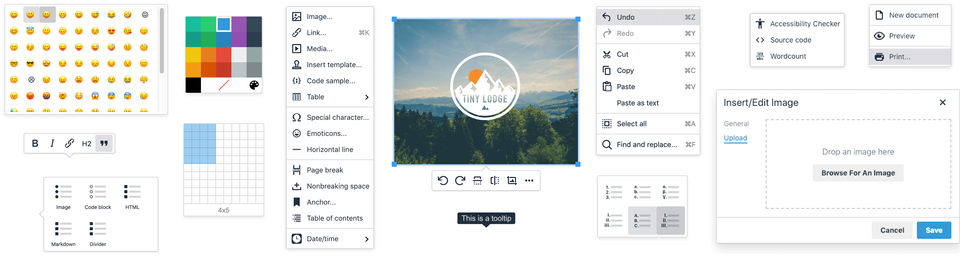TinyMCE screenshot 3