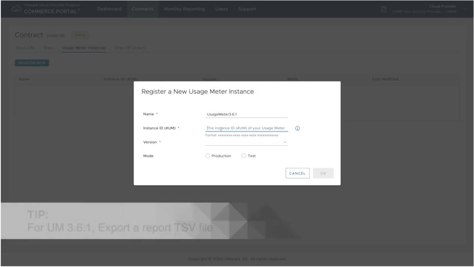 vCloud Usage Meter screenshot 2