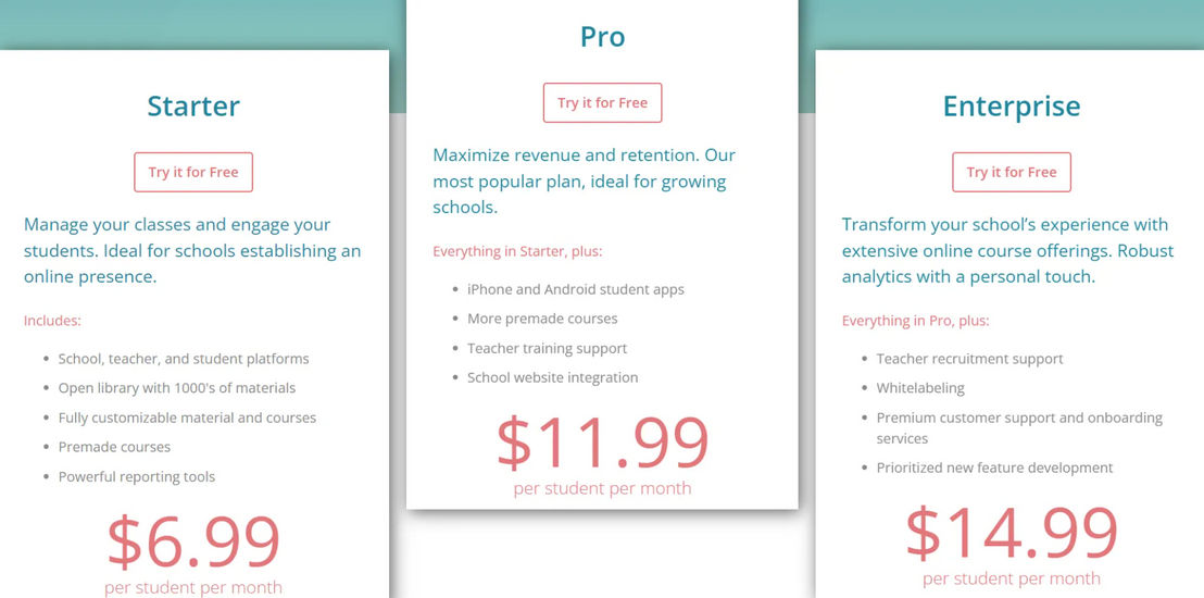 Your Agora pricing 1