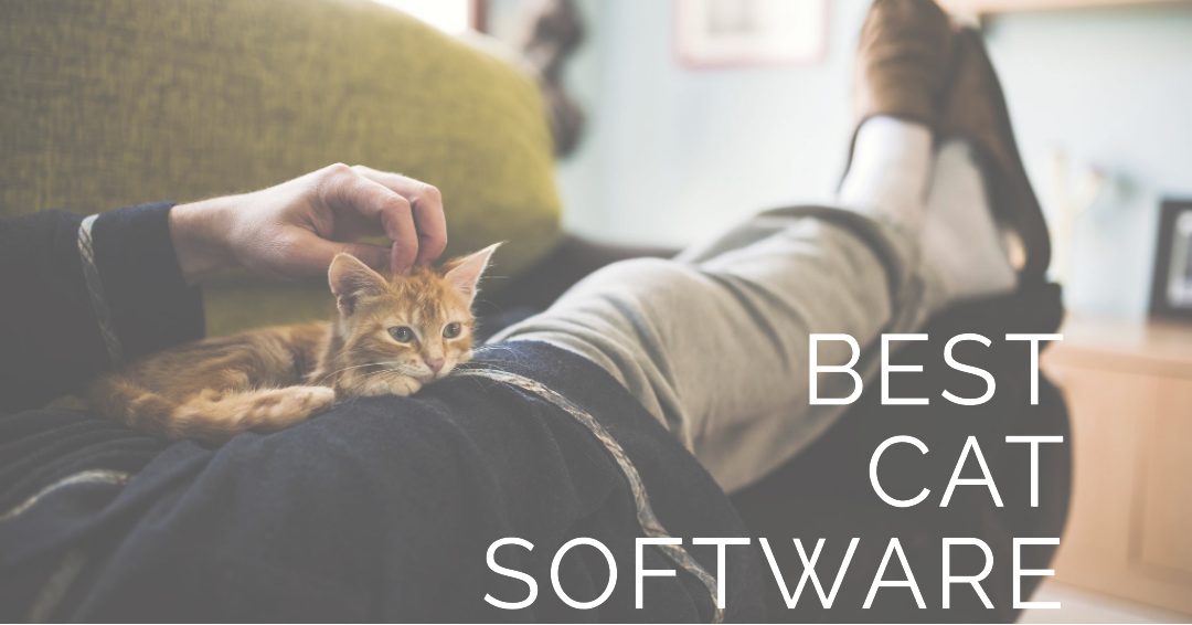 The Best Cat Software for Feline Lovers (Purrfectly Tech-Savvy)