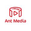 antmediaserver 3334 logo 1664890558 vreq1