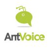 antvoice 34109 logo 1632561073 meajt
