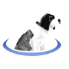 bernieportal 10677 logo 1603872952 i08ot