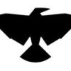 blackbirdai 35382 logo 1643703153 n1h4z