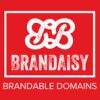 brandaisy 14530 logo 1614931423 akohd