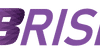brisk 8703 logo 1594628866 hdy45