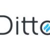ditto 12134 logo 1666093376 fwu2g