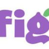 figbookingsoftware 35829 logo 1639631285 gnlcx