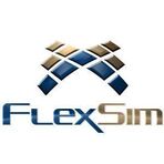 FlexSim