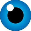 globalsign 26432 logo 1615540086 yhftd