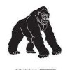 gorillaterminal 40521 logo 1664783933 y40nm