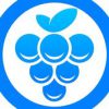 grape 7121 logo 1620032765 cjspx