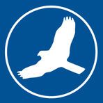 HawkSoft