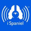 ispaniel 31278 logo 1622206962 s3nmk