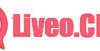 liveochat 35990 logo 1669206773 pdmof