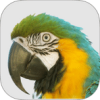 macawagencymanagementsystem 19170 logo 1615366308 fj2o6