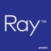 raybypracto 9310 logo 1596712417 we1hn