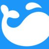 saleswhale 8428 logo 1593513251 skwi5