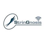 StrinGnosis